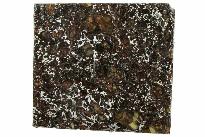 Polished Admire Pallasite Meteorite ( g) Slice - Kansas #307327